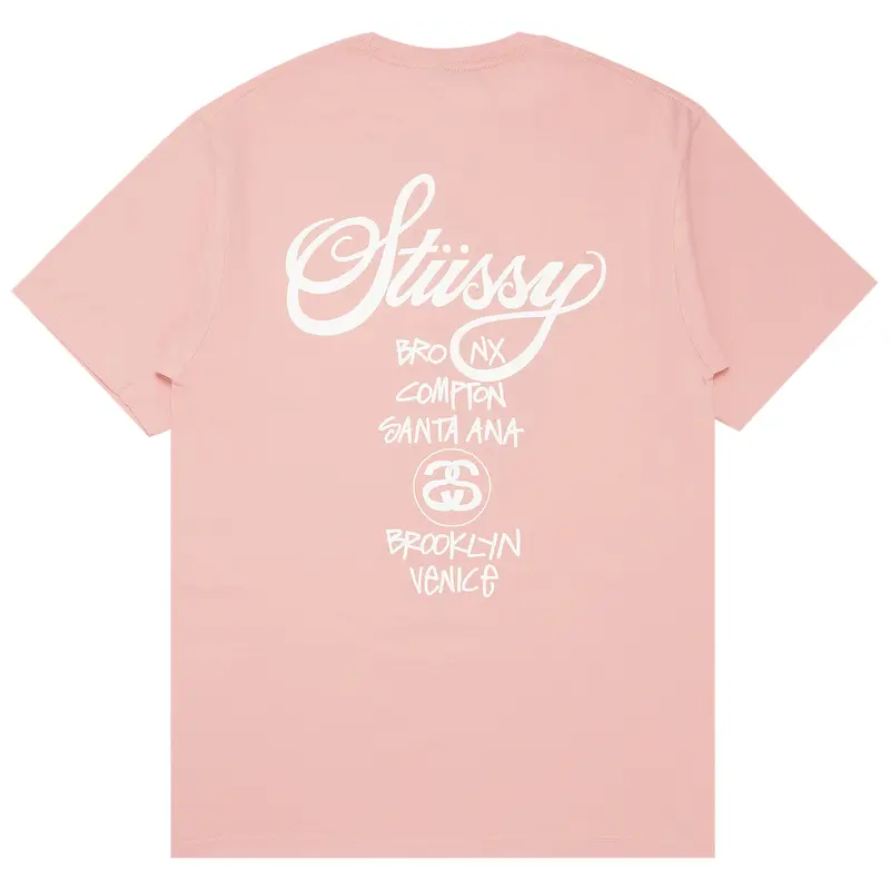 Stussy World Tour Pale Pink Tee Back