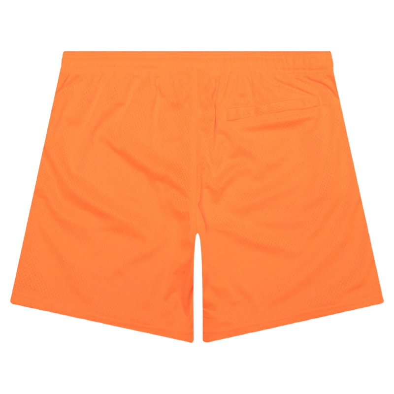 Stussy 8 Ball Mesh Orange Shorts-back