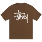 Stussy Basic Brown Tee Back