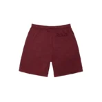 Stussy Basic Dark Red Mesh Shorts-back
