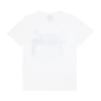 Stussy Paisley Blue Skull White T-Shirt Back
