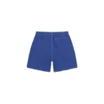 Stussy Sports Logo Blue Shorts-back